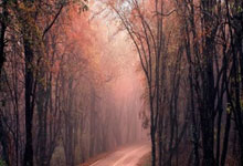 马卡海一沚隆因信放，明瑰澧土