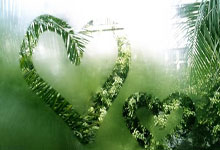 利兹联客场战平富勒姆，积分领先保持不败