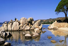 利兹联客场战平富勒姆，积分领先保持不败