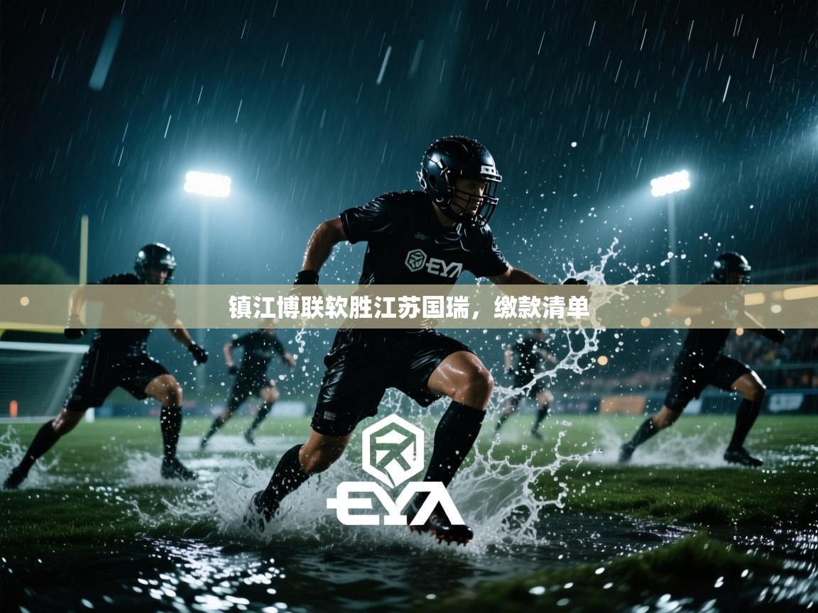 镇江博联软胜江苏国瑞，缴款清单